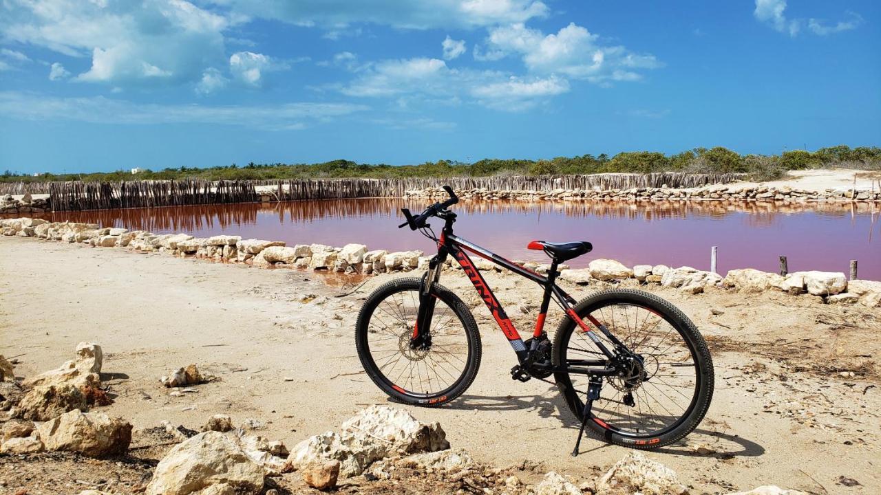 Reef Yucatan All Inclusive & Convention Center Merida Bagian luar foto